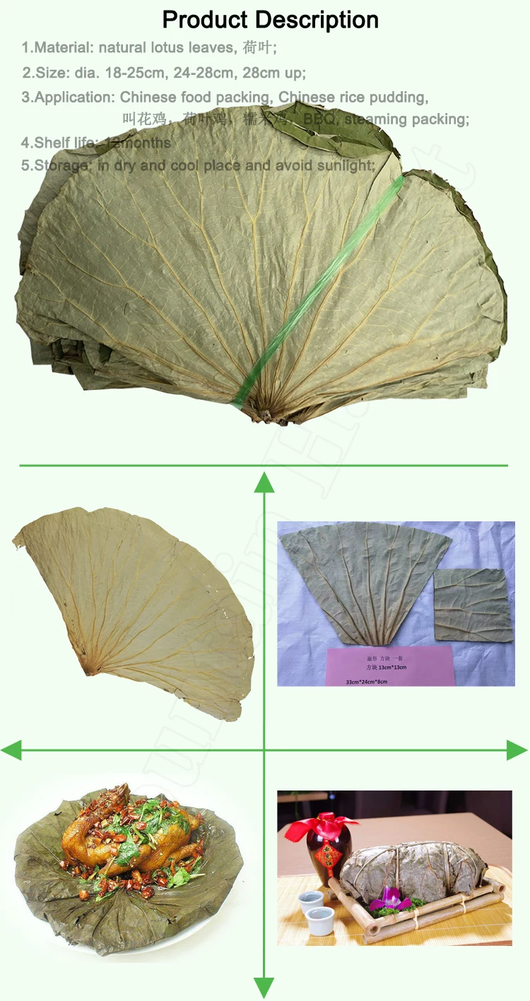 High Quality Organic Lotus Dried Whole Leaf,Slices,Tea