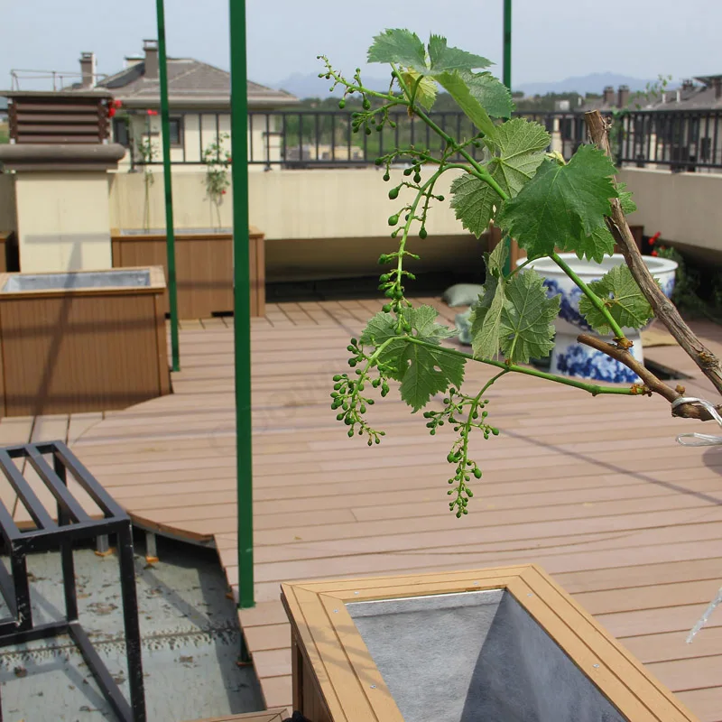 wpc deck 99.jpg