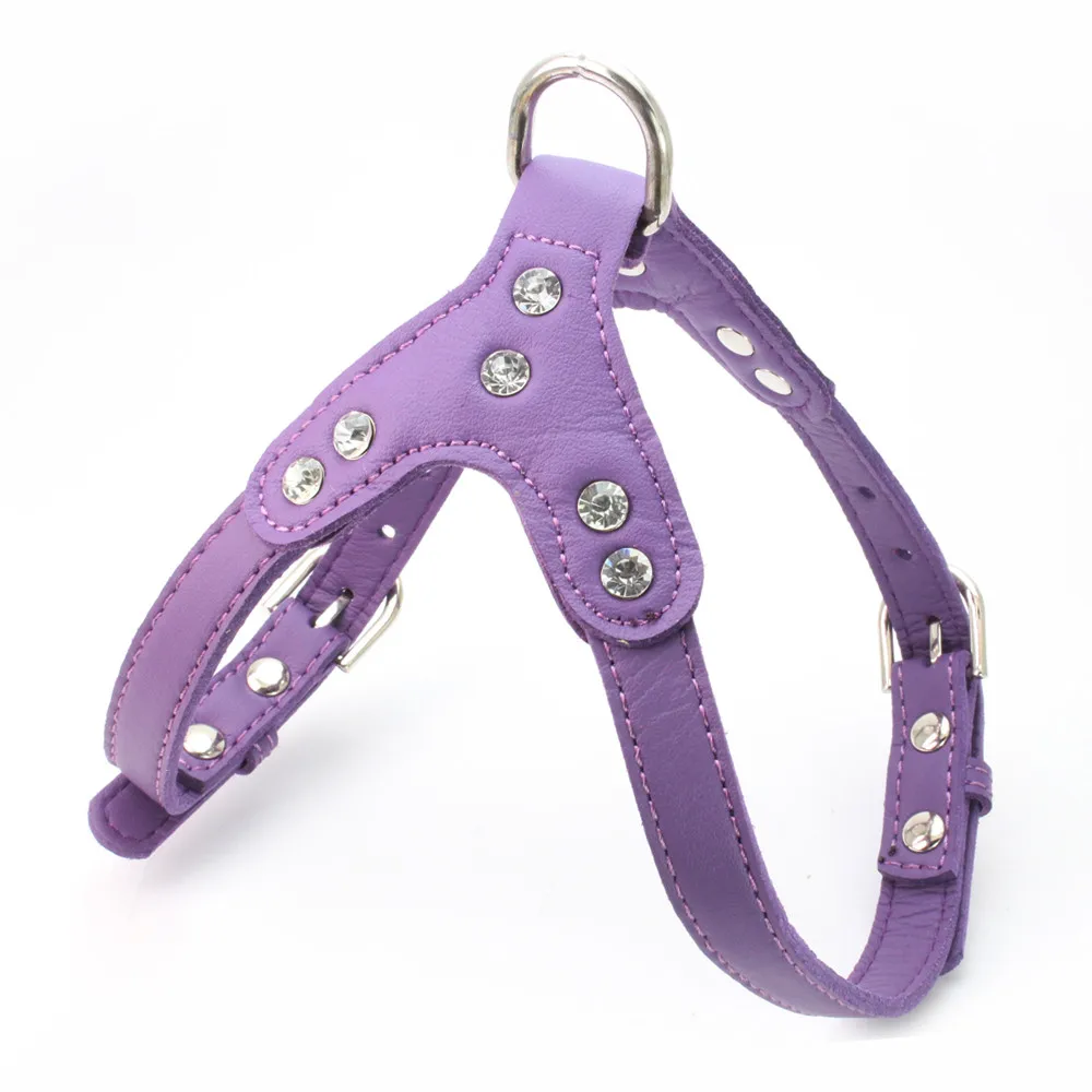 buckle dog harness