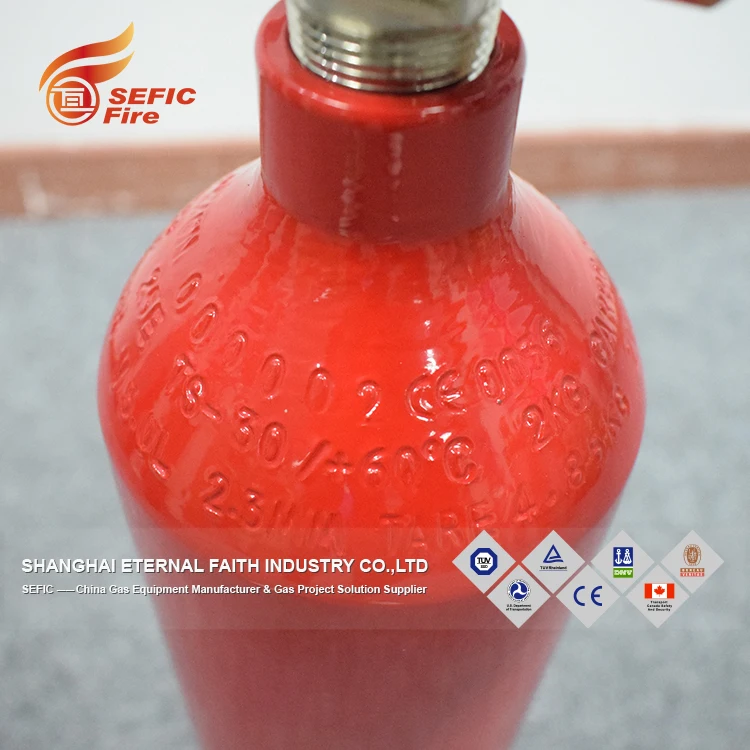 Tped Approved/certification Extinguisher Fire 6kg Co2 Fire Extinguisher Sns-Brigh10