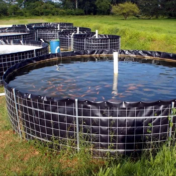 Round aquaponics fish tank Outback food producers experiment with new ways to grow crops on barren opal fields