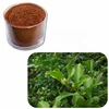 100% Natural Pure Water Soluble Salvadora Persica Bark Extract Powder for Toothpaste Production