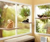 Sunny Seat Window Mounted Cat Bed cat hammock Pet