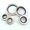 Double lip o seal ring
