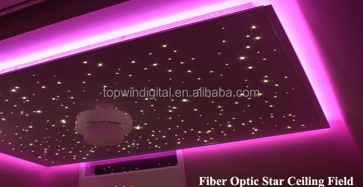 Plastic Fibre Optic Decoration With Cost Effective Light Generator