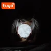 Wi-Fi smart moon ambient lamp 3D print night light floating moon lamp creative holiday present