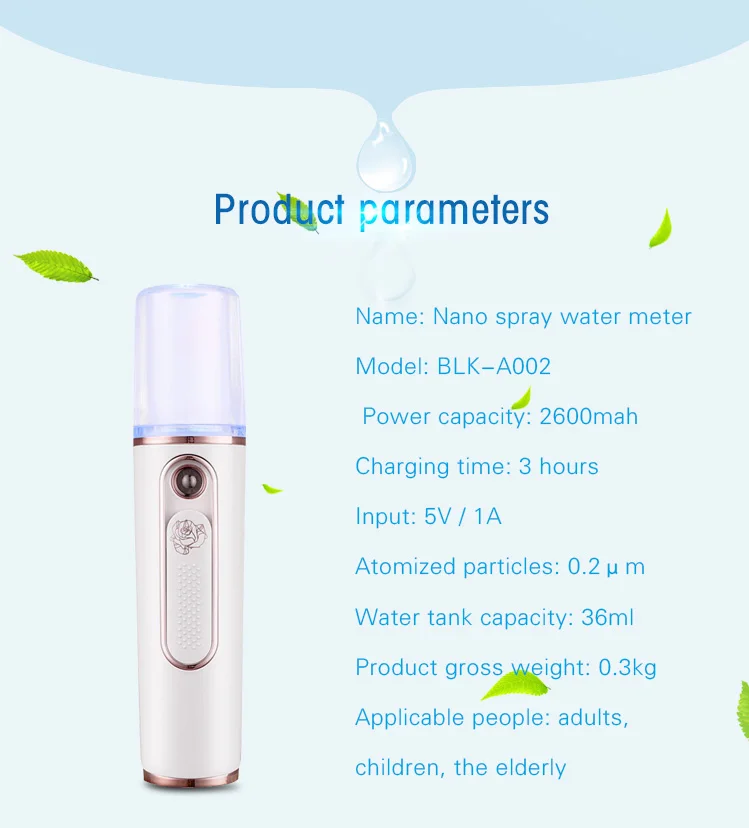 mini mist nano facial sprayer; nano sprayer; nano facial mist spayer