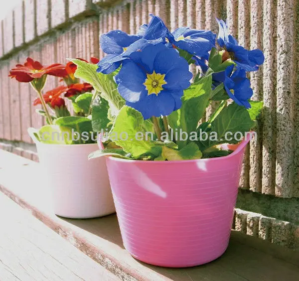 71PIndsKoML._SL1000__