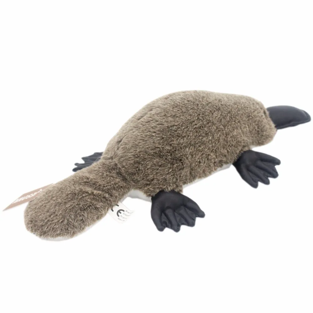 platypus stuffed animal