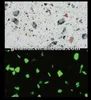 Luminous Stone (kitchen and bathroom security line)--decoration material for kitchen and public