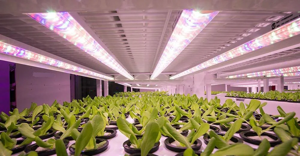 Greenhouse Farming AHU