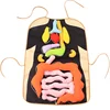 Manikin human organ toys kid early development apron educational plush toy doctor toys for kids