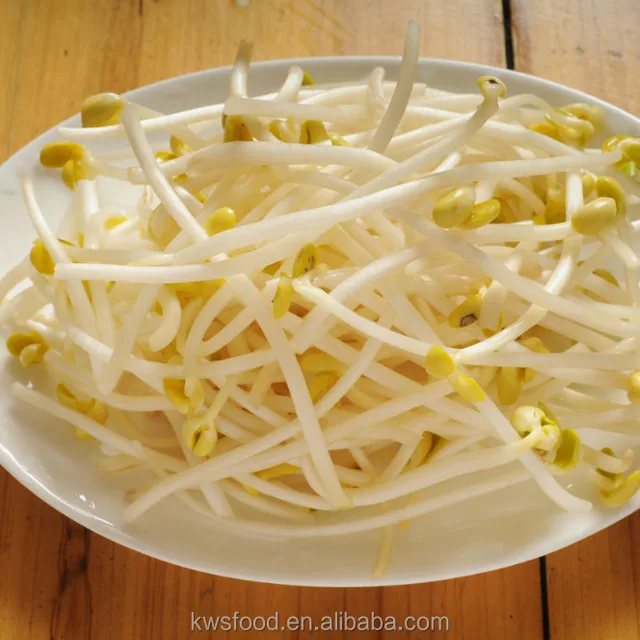 frozen bean sprout