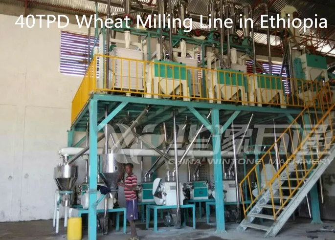 Double rollers wheat flour mill milling machine