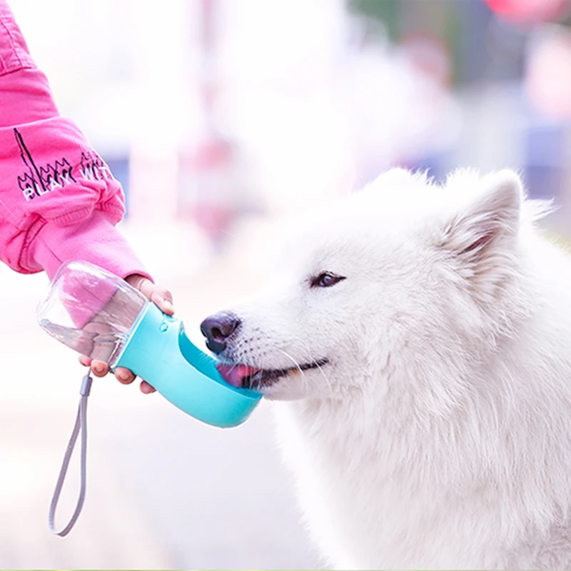 dog water bottle 1