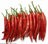 (HOT) RED DRIED CHILLI / CHILLI CHINA / RED CHILLI PRICE