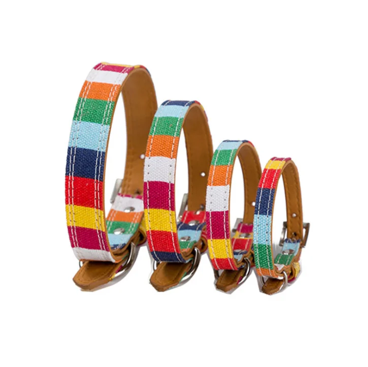 dog pet collar-4.png