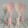 2018 Family Utility Disposable Meal Spoon