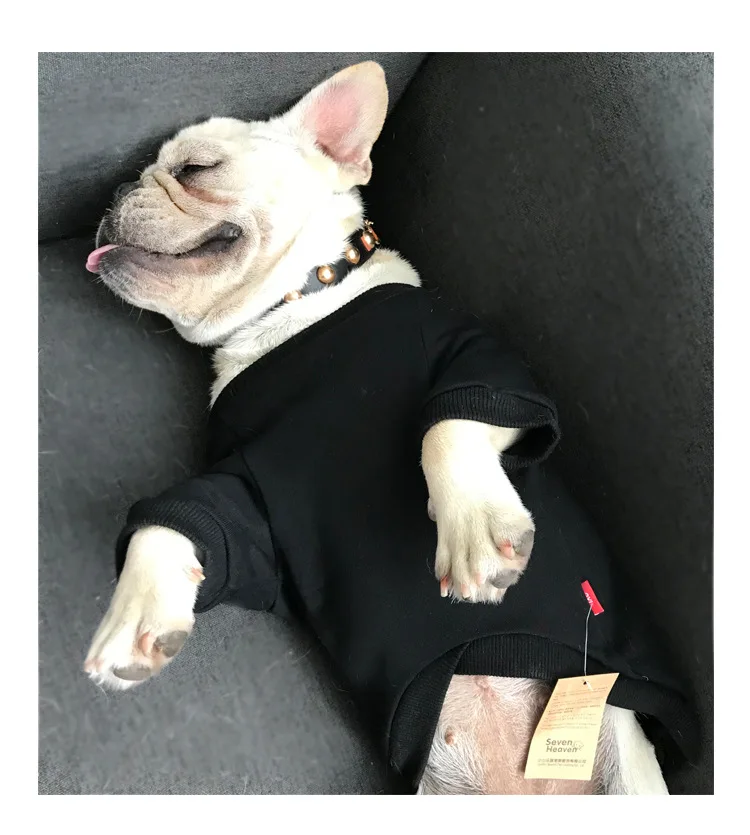 dog owner clothes (9).jpg
