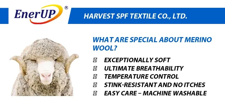 HOT High quality ladies merino wool thermal underwear