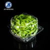 Hot Sale PET Plastic Blister Lettuce Clamshell Packaging