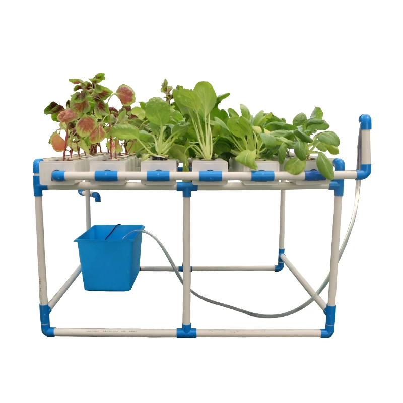hydroponics.jpg