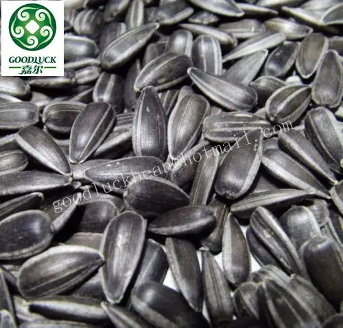 black oil sunflower seeds ton price buy sunflower seeds black oil sunflower seeds ton price buy sunflower seeds