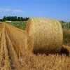 Factory directed manufacture slow feeder hay net in rolls/ prairie/ bundle of grass network