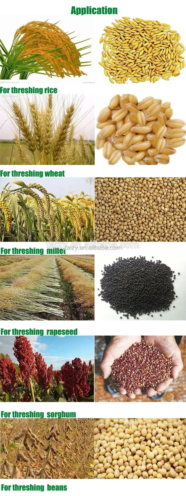 bean sheller machine