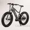 mid drive electric bike/bicycle, battery ebike 8fun bafang mid motor fat tire bosch electric bike