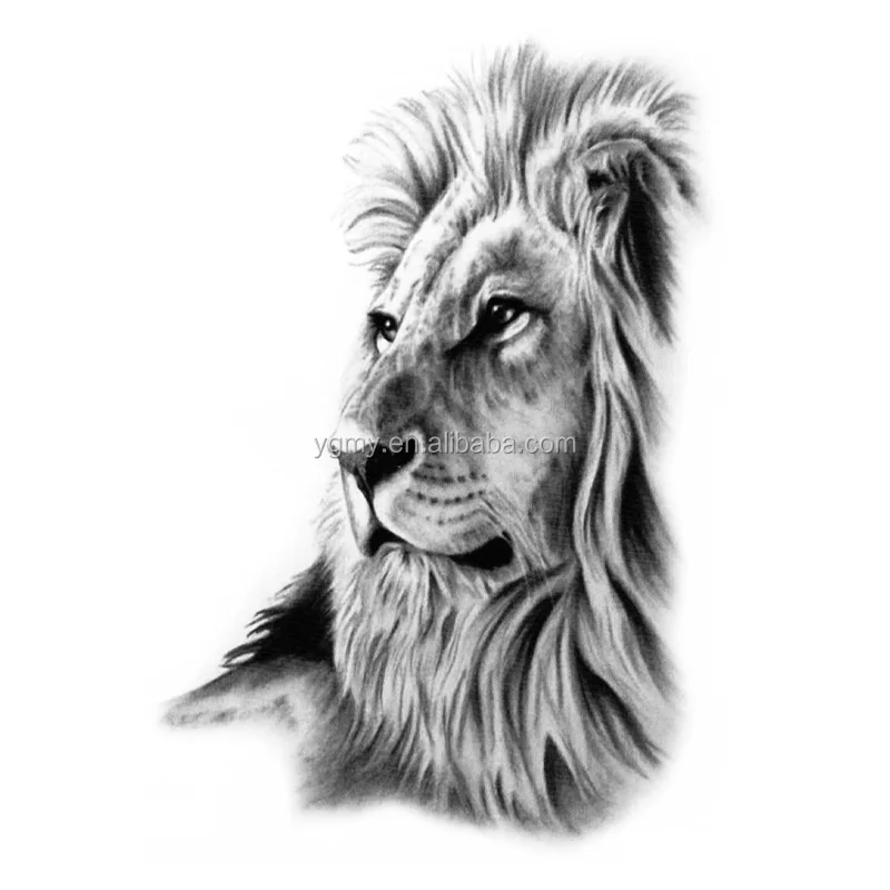Hình xăm sư tử châu Phi và Ấn Độ mạnh mẽ: Sư tử đã từng được coi là biểu tượng của châu Phi và Ấn Độ. Hình xăm sư tử được thiết kế theo phong cách của hai vùng đất này sẽ mang lại sự mạnh mẽ, đầy sức sống và sự đa dạng cho hình xăm của bạn. Thưởng thức những hình ảnh đặc sắc của sư tử châu Phi và Ấn Độ ngay hôm nay.
