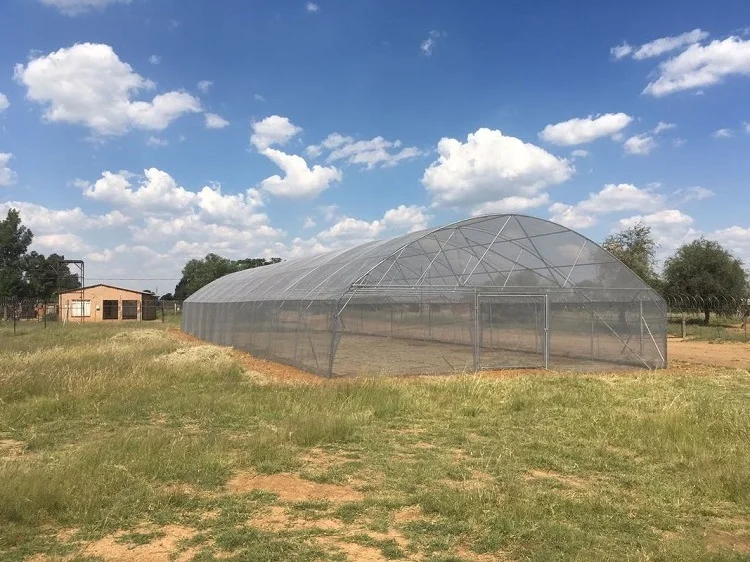 tunnel greenhouse (3).jpg