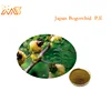 Natural Feverwort extract Powder/Japan Bogorchid Extract with high quality