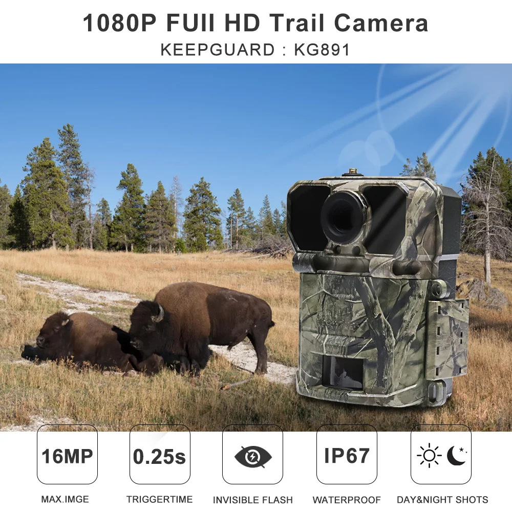 Highly qualified 60 seconds Video Length FOV 55 degree 4g hunting camera