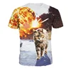 /product-detail/2019-summer-t-shirt-newest-style-3d-tshirt-print-lightning-cat-t-shirt-homme-funny-t-shirts-brand-clothing-for-men-o-neck-top-62215133057.html