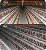 China Supplier 100% Galvanized Broiler Rearing 10000 Layer Chickens Poultry Farm Bird Battery Cage For Sale