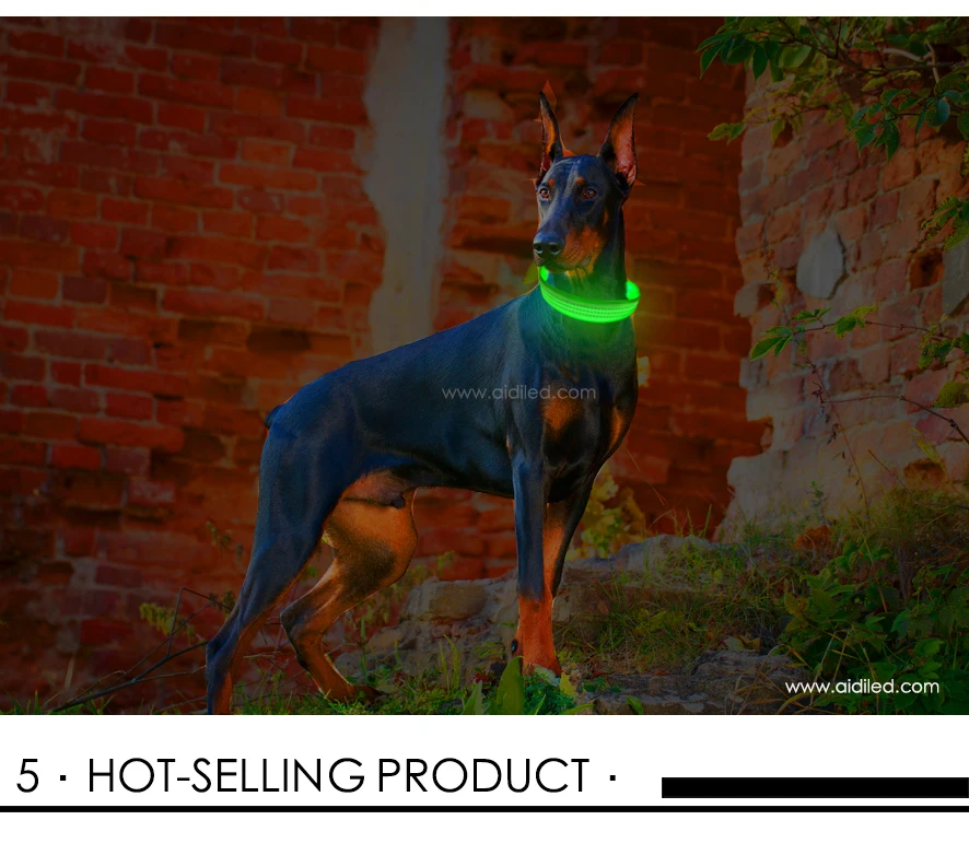 April New Product Dog Led Pet Safety Collar, Adjustable Rechargeable Dog Collar