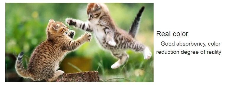 inkjet photo paper2.jpg