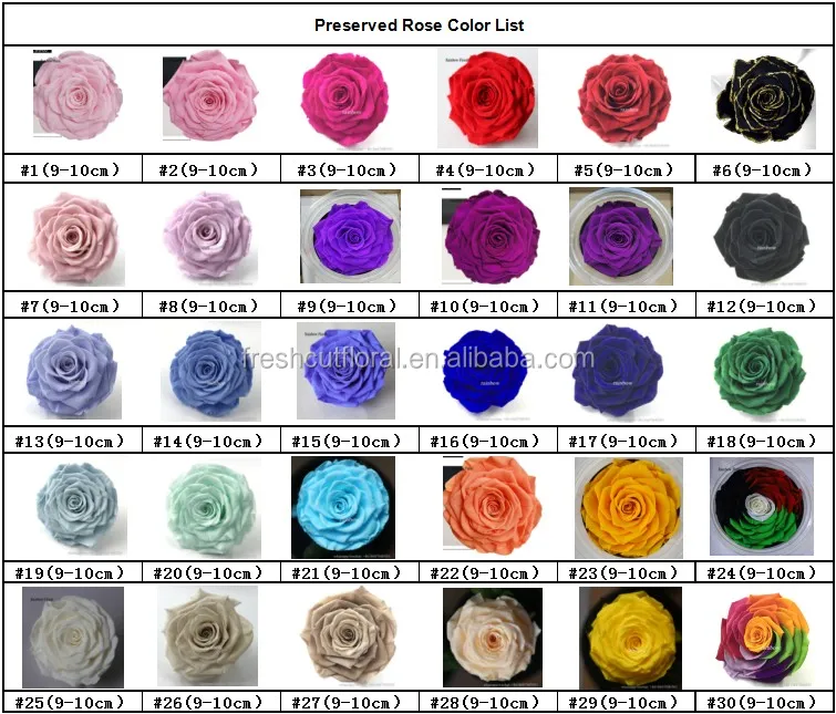 Cheapest Beauty And The Beast Rose Glass Gift Preserved Flowers Love 