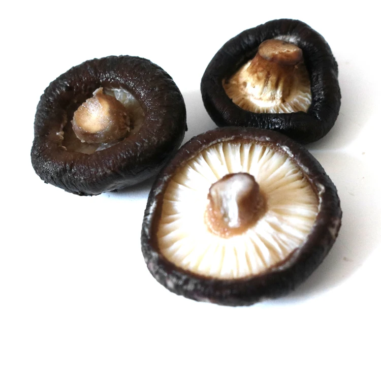 
prices for freeze dried shiitake flower mushroom stem 
