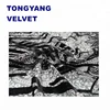 jiangsu changzhou tongyang 100 polyester Micro Velvet 5000 printed fabric with bright wire