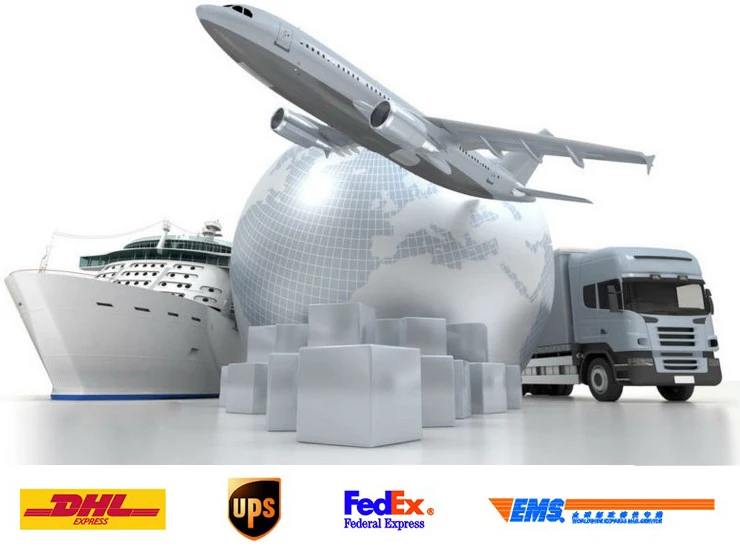 XFTオーディオ インターフェイスを持つ電子Desfibrilador aedのトレーナー