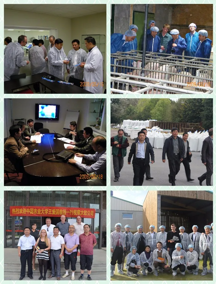 customer gas brooder1.jpg