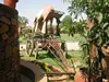 /product-detail/royal-indian-rajasthan-jodhpur-hand-made-handicraft-antique-wooden-bullock-horse-cart-baghi-rath-gadi-chariot-indian-antique--148451869.html