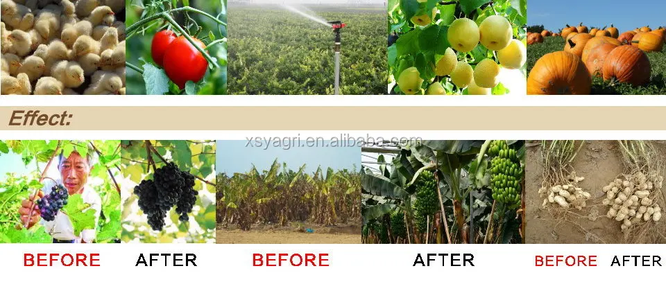 photobank.jpg