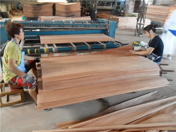 chinese low price natural gurjan veneer ,PLB veneer, for india market
