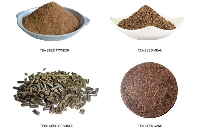 tea seed saponin supplier tea seed saponin supplier