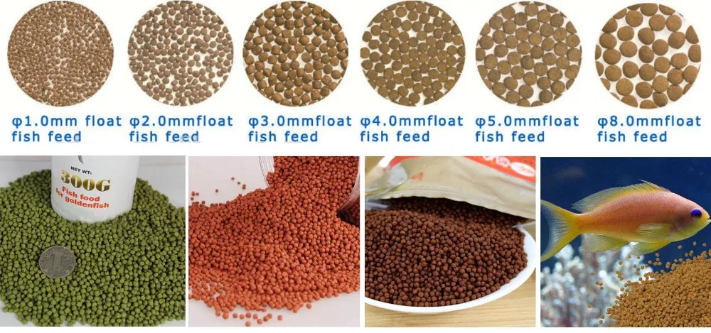 product-1-1 product-1-1