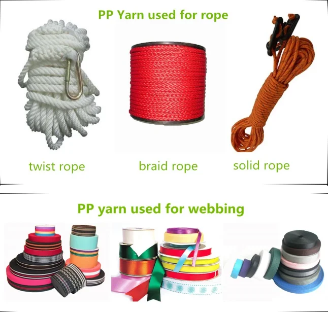 paste-pic-dp_uuid_rv9hh