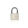 Wholesale prices special design heavy duty security seals iron padlock